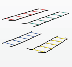 FAST FOOT LADDER